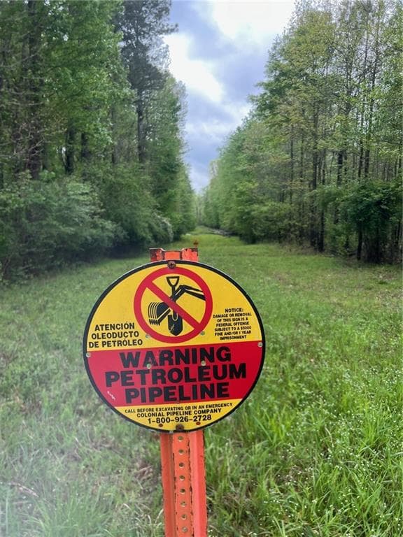 unimproved land for sale at 0 Willingham Drive, Fayetteville, GA 30214 — photo 4