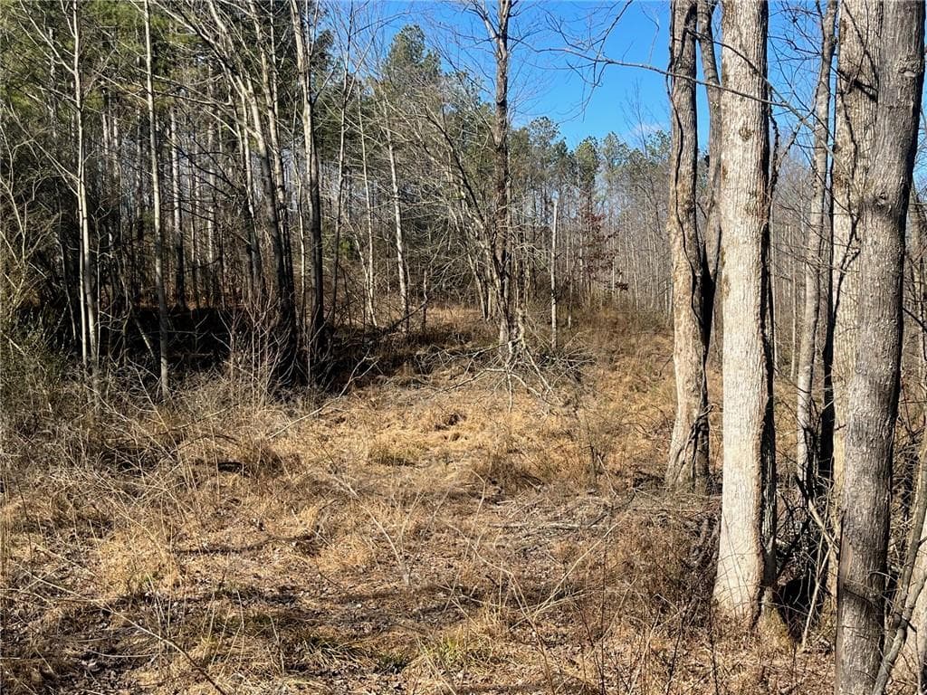 single family residence sold at 06 Jerusalem Church Road, Jasper, GA 30143