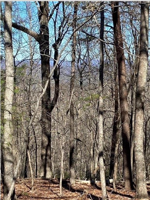 single family residence for sale at 68 Wood Fern Knoll, Big Canoe, GA 30143 — photo 7