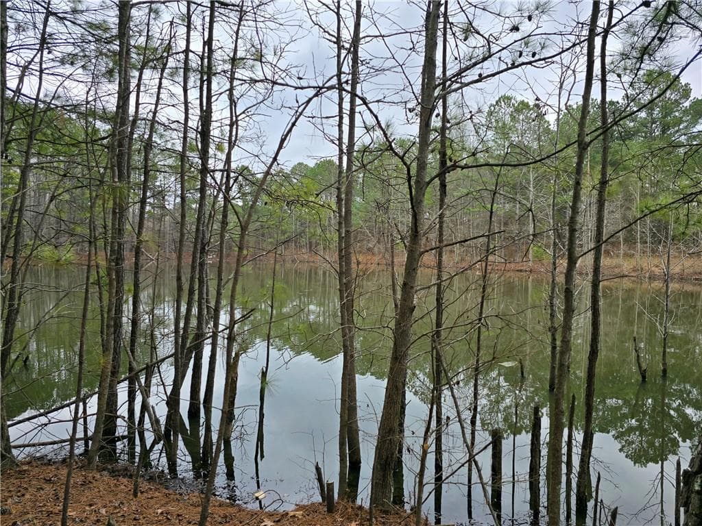 4 bedroom, 4 bathroom other for sale at 3016 Loganville Highway, Loganville, GA 30052 — photo 10