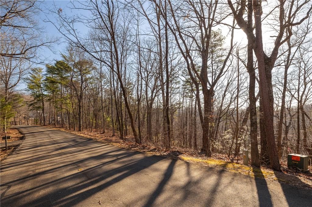 single family residence for sale at 0 Outback Ridge Trail, Jasper, GA 30143 — photo 10
