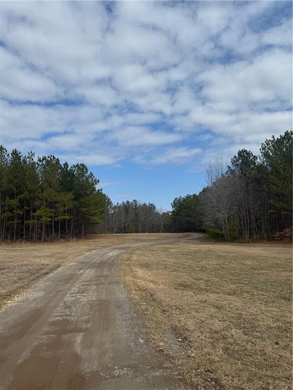 other under contract at 0 Benson Road, Dallas, GA 30132 — photo 3
