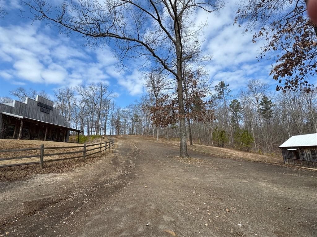 other under contract at 0 Benson Road, Dallas, GA 30132 — photo 5
