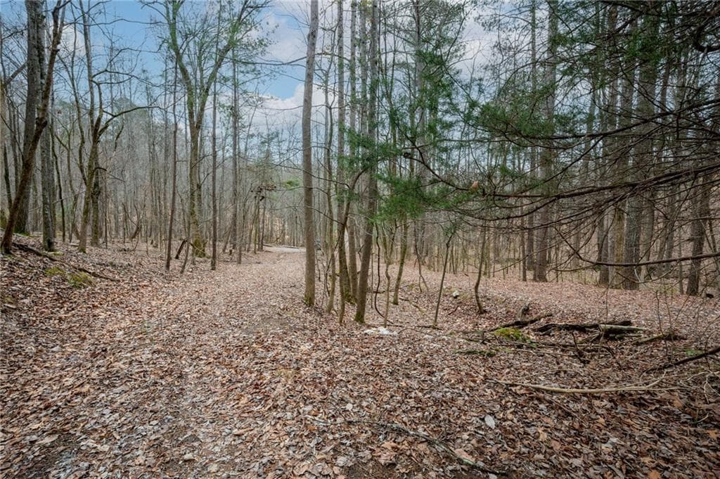 single family residence sold at 161 Jasmine Drive, Ranger, GA 30734