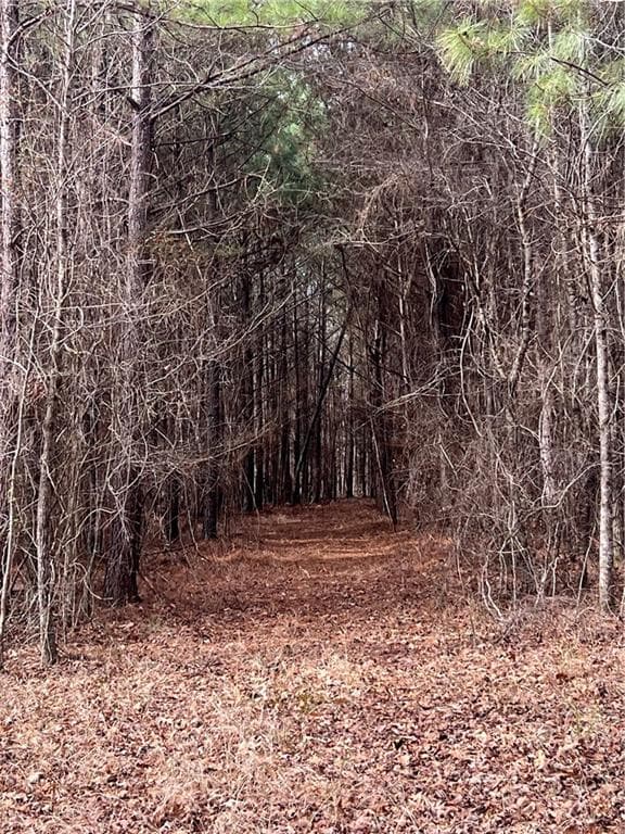other for sale at 325 Everett Springs Road, Calhoun, GA 30701 — photo 5