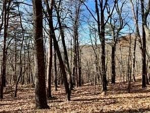 single family residence for sale at 1520 Moss Patch Trail, Jasper, GA 30143