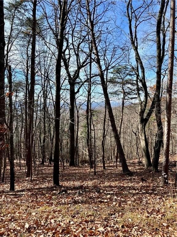 single family residence for sale at 1520 Moss Patch Trail, Jasper, GA 30143 — photo 2