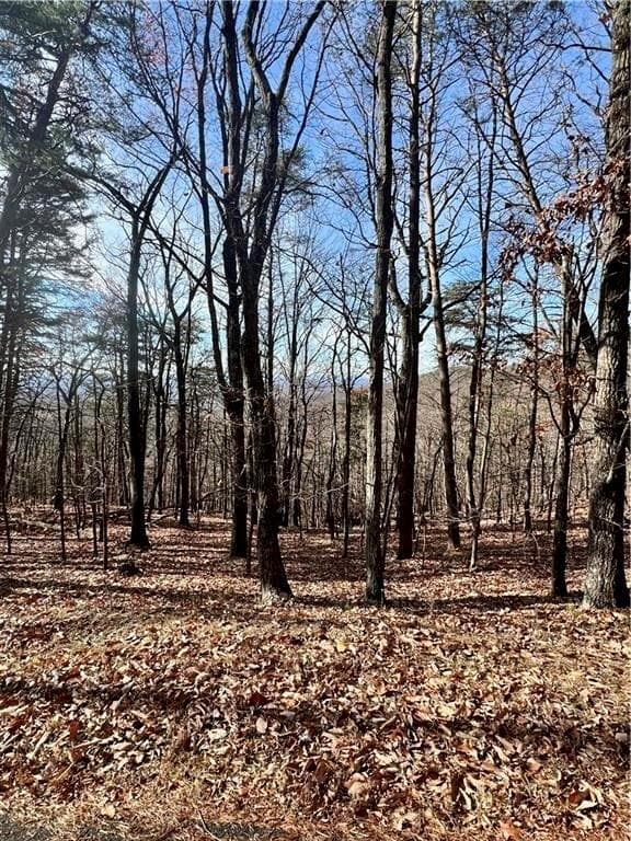 single family residence for sale at 1520 Moss Patch Trail, Jasper, GA 30143 — photo 3