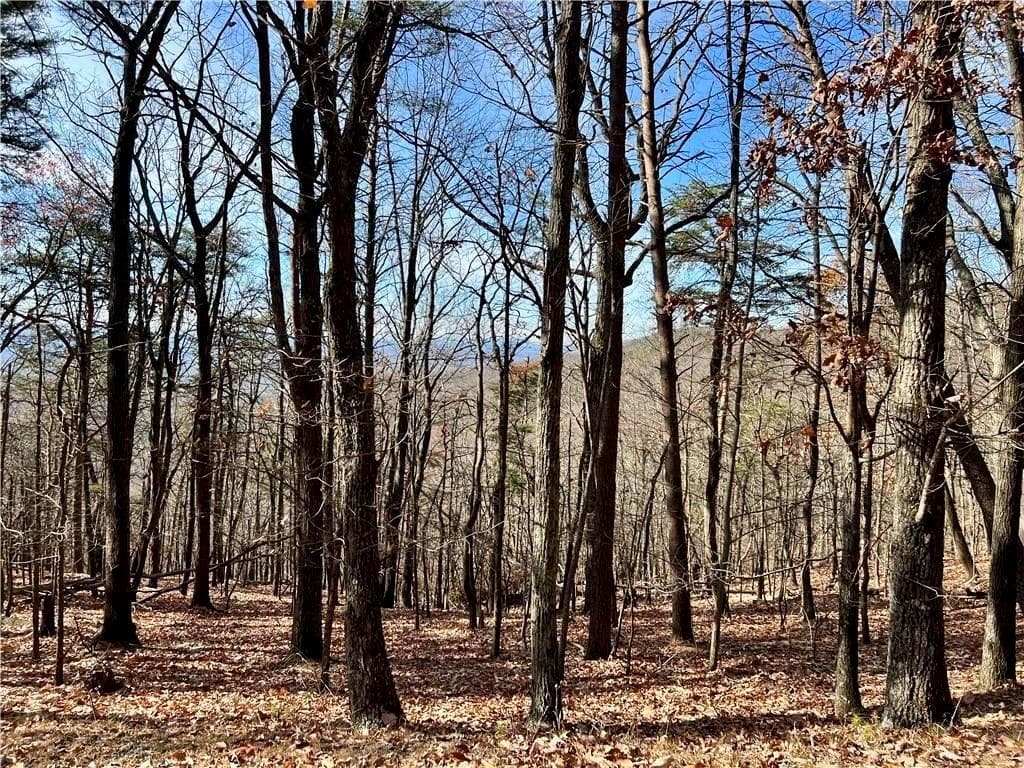 single family residence for sale at 1520 Moss Patch Trail, Jasper, GA 30143 — photo 4