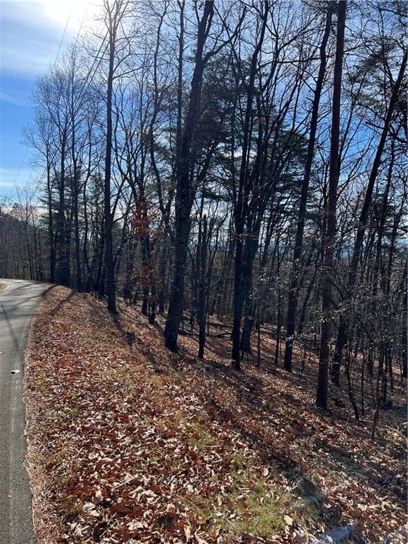 single family residence for sale at 1520 Moss Patch Trail, Jasper, GA 30143 — photo 5