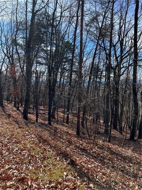 single family residence for sale at 1520 Moss Patch Trail, Jasper, GA 30143 — photo 6