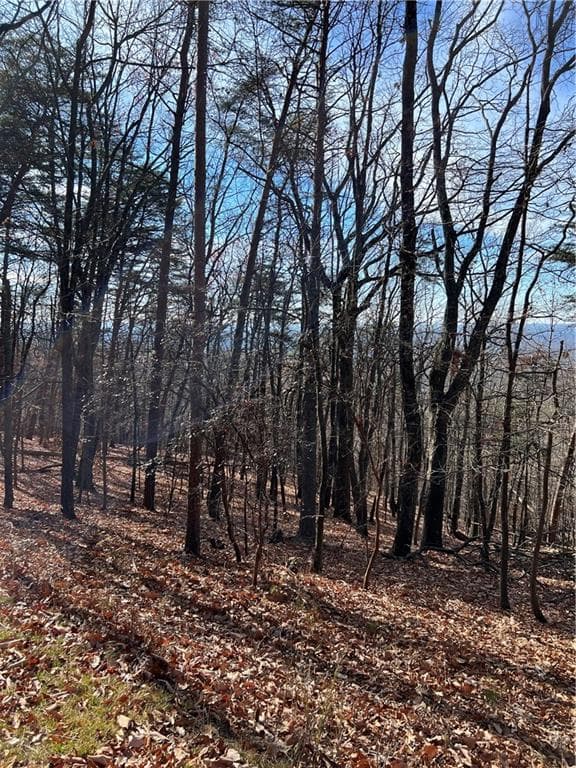 single family residence for sale at 1520 Moss Patch Trail, Jasper, GA 30143 — photo 7