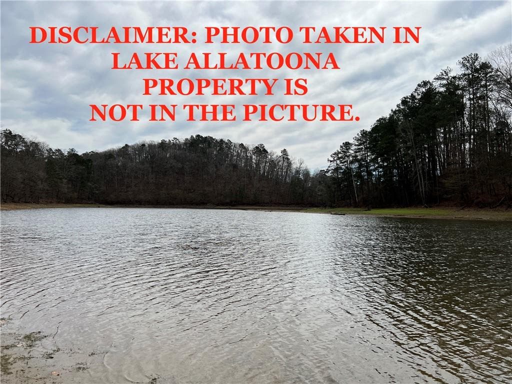 other for sale at 16 Hawks Branch Lane, White, GA 30184