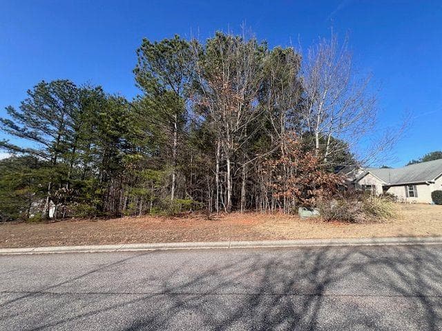 single family residence sold at Lot 59 Makers Way, Dawsonville, GA 30534