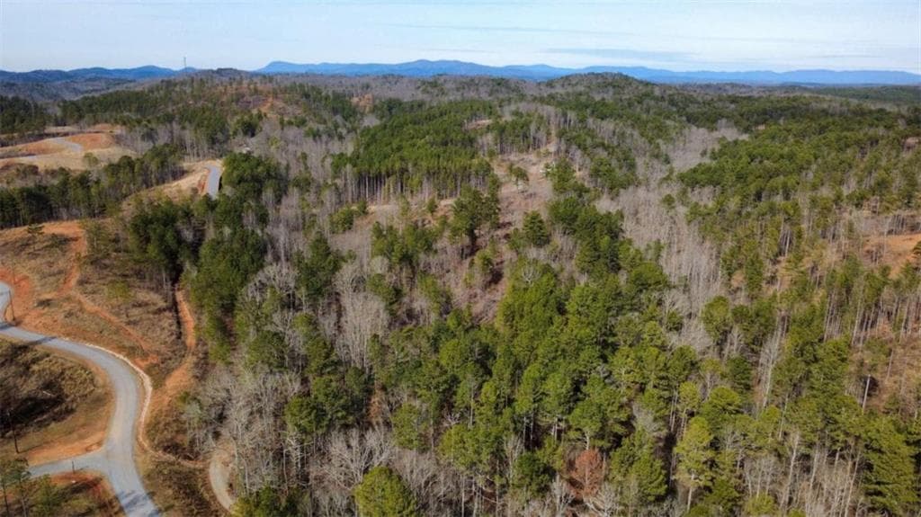 single family residence for sale at LT 108 Blalock Mountain Road, Talking Rock, GA 30175 — photo 3