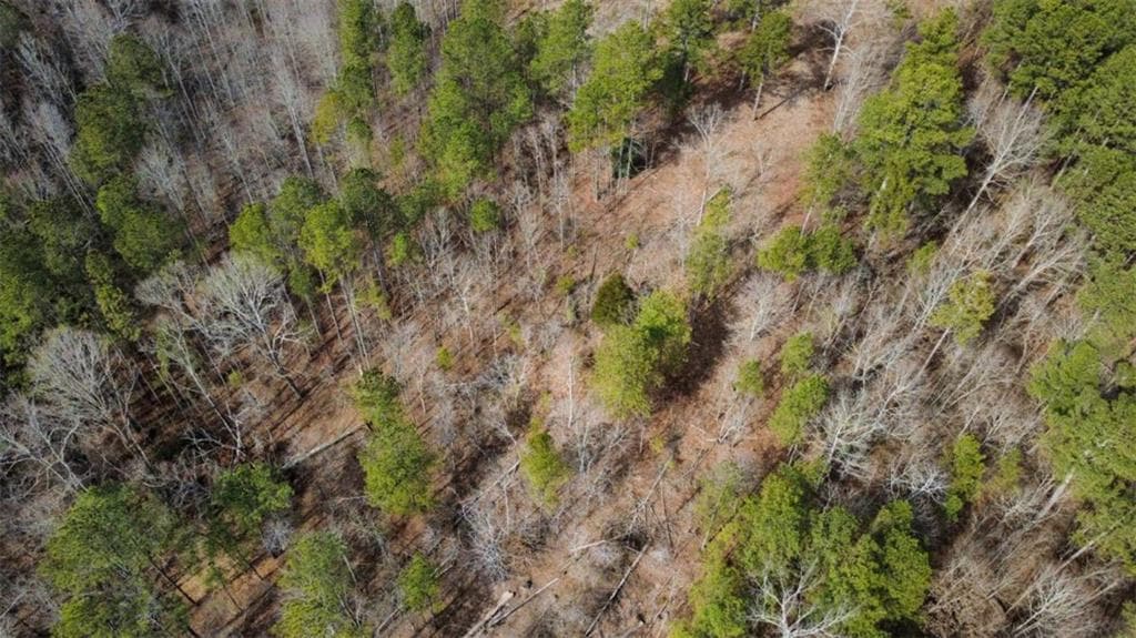 single family residence for sale at LT 108 Blalock Mountain Road, Talking Rock, GA 30175 — photo 5
