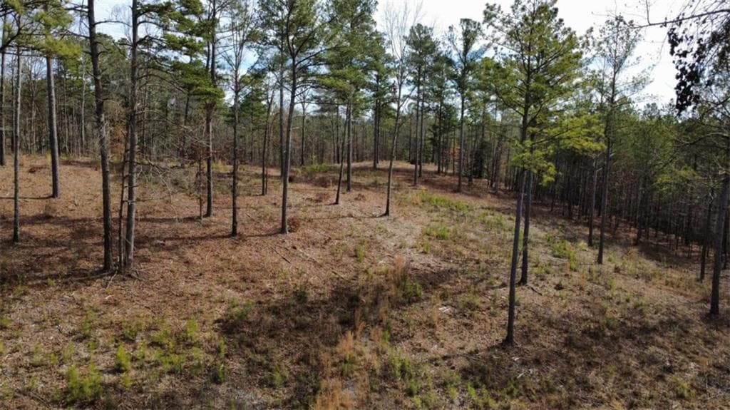 single family residence for sale at LT 108 Blalock Mountain Road, Talking Rock, GA 30175 — photo 6