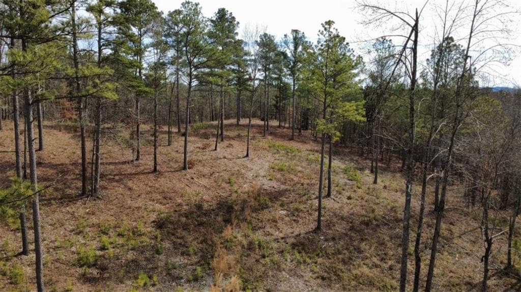 single family residence for sale at LT 108 Blalock Mountain Road, Talking Rock, GA 30175 — photo 7