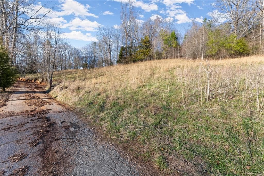 unimproved land for sale at 4208 Simpson Road, Gainesville, GA 30507 — photo 2
