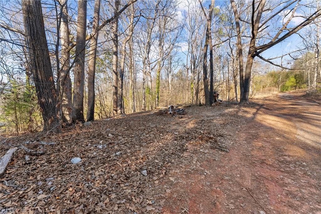 unimproved land for sale at 4208 Simpson Road, Gainesville, GA 30507 — photo 3