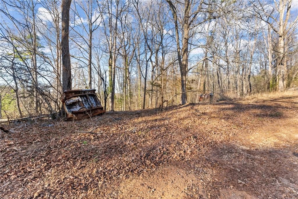 unimproved land for sale at 4208 Simpson Road, Gainesville, GA 30507 — photo 5