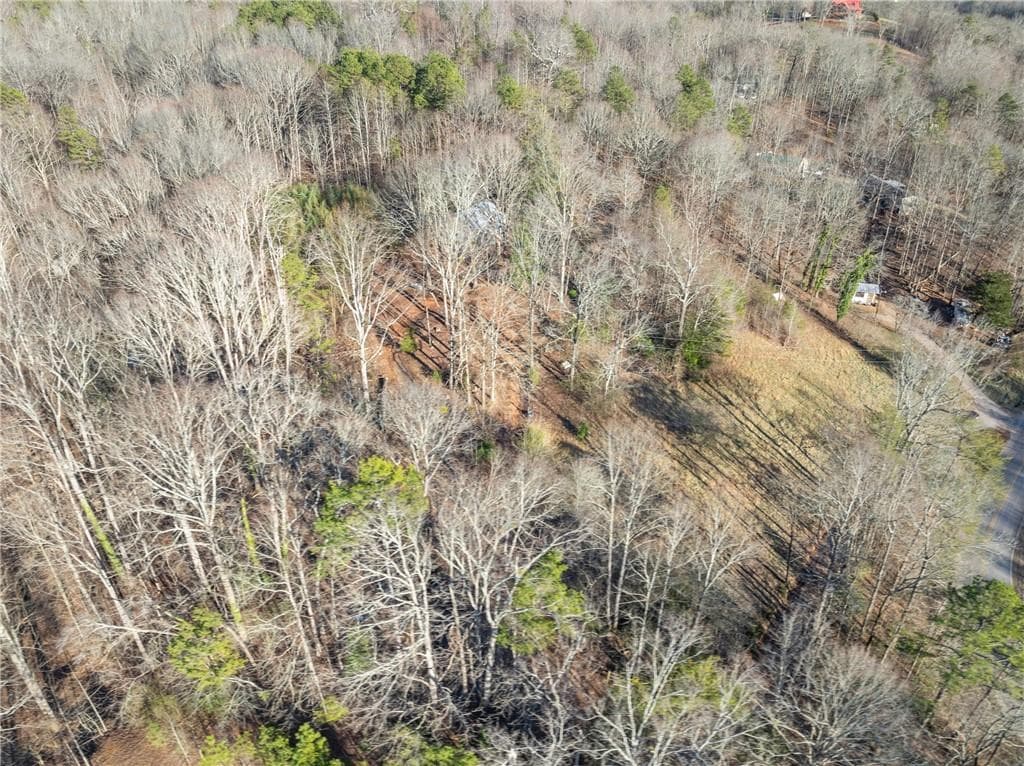 unimproved land for sale at 4208 Simpson Road, Gainesville, GA 30507 — photo 7