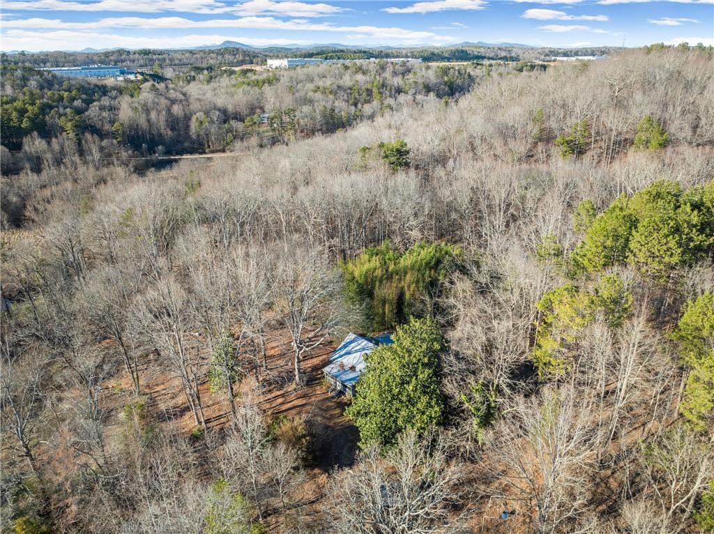 unimproved land for sale at 4208 Simpson Road, Gainesville, GA 30507 — photo 8