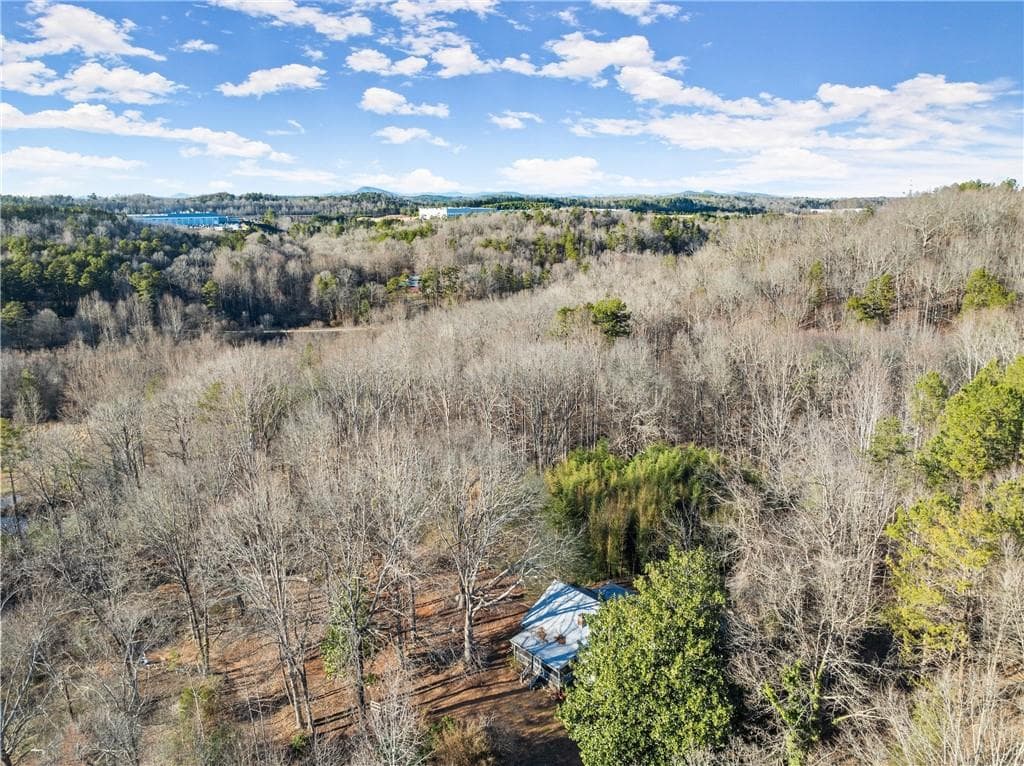 unimproved land for sale at 4208 Simpson Road, Gainesville, GA 30507 — photo 10
