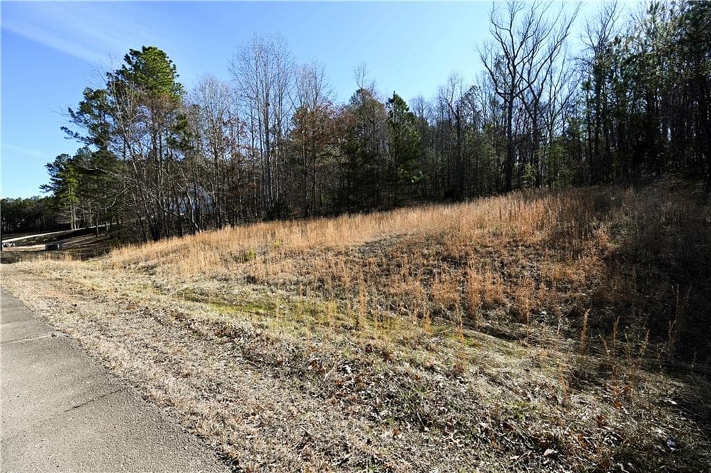 single family residence for sale at 29 Saratoga Drive, Rydal, GA 30171 — photo 2