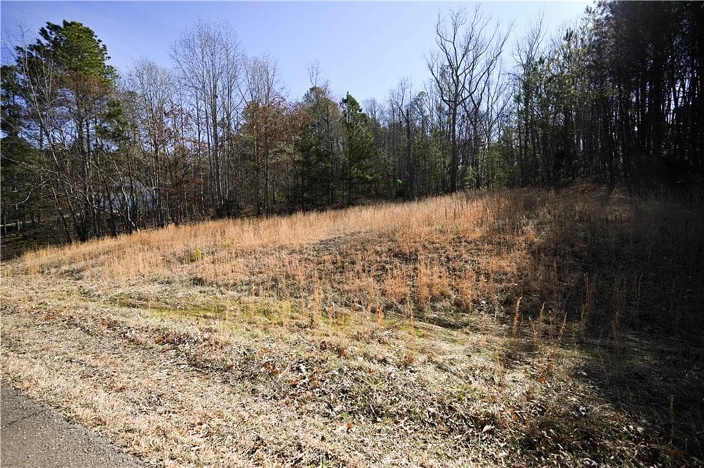 single family residence for sale at 29 Saratoga Drive, Rydal, GA 30171 — photo 3