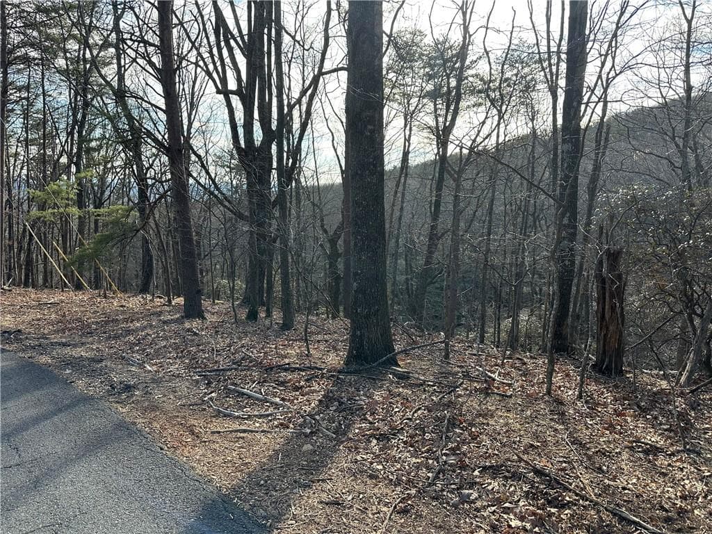 single family residence for sale at Lt1141 Oglethorpe Mountain Road, Jasper, GA 30143 — photo 3