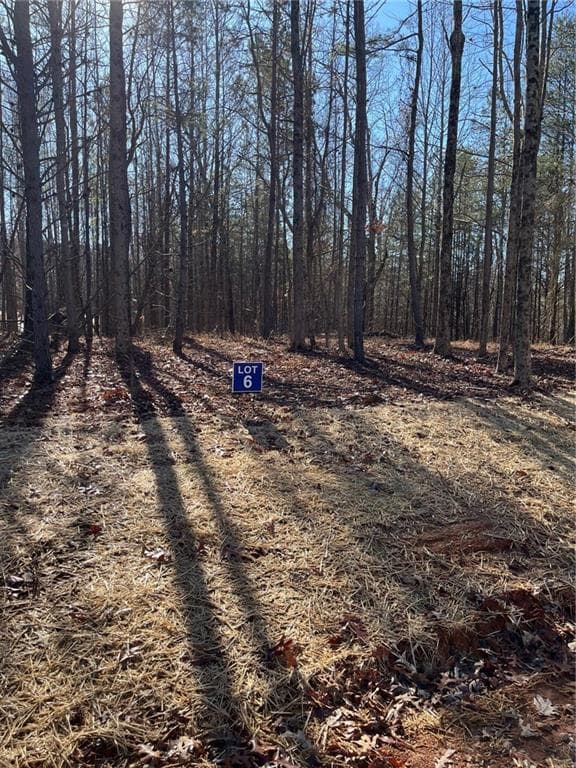 other under contract at 6 Crawford Place, Dawsonville, GA 30534 — photo 7