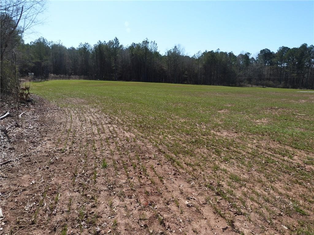 unimproved land for sale at 0 Hwy 186, Good Hope, GA 30641 — photo 3