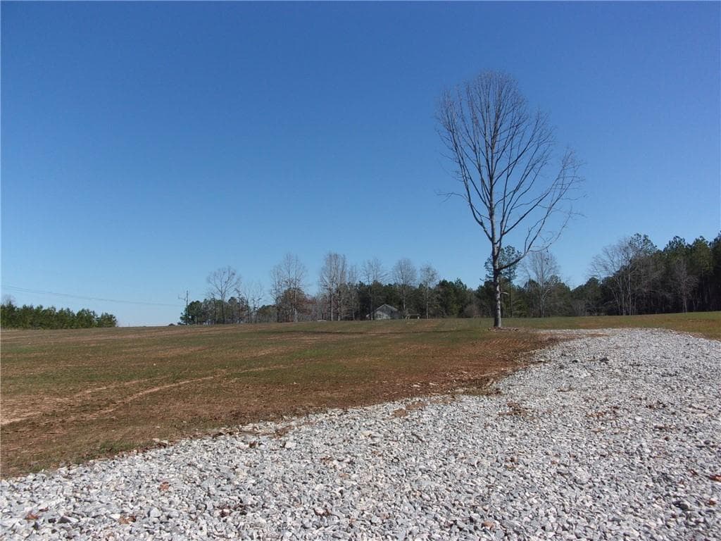 unimproved land for sale at 0 Hwy 186, Good Hope, GA 30641 — photo 7