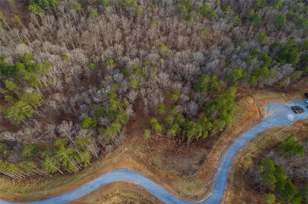 single family residence for sale at LT 186 Shelter Cove Trl, Talking Rock, GA 30175 — photo 4