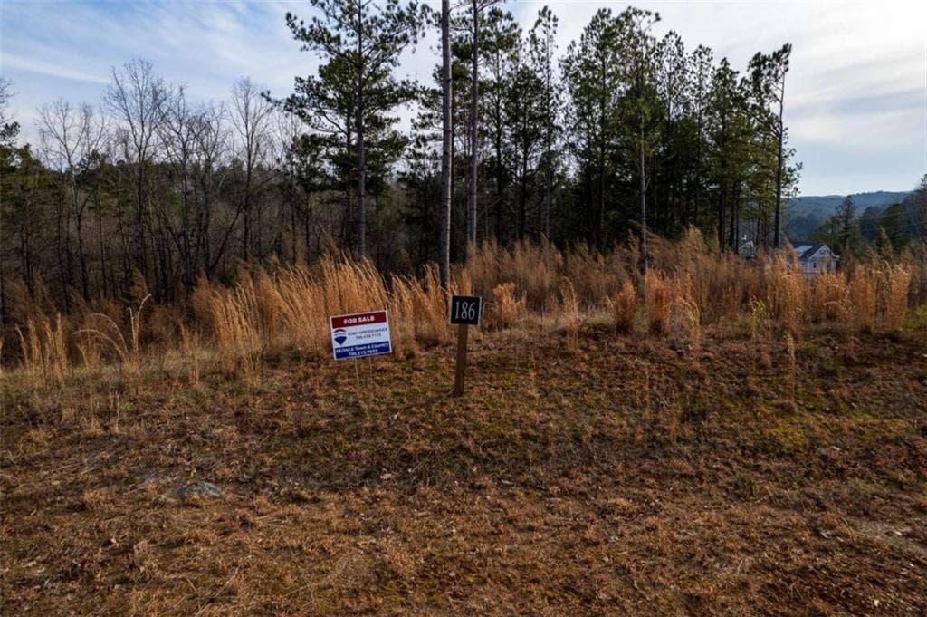 single family residence for sale at LT 186 Shelter Cove Trl, Talking Rock, GA 30175 — photo 6
