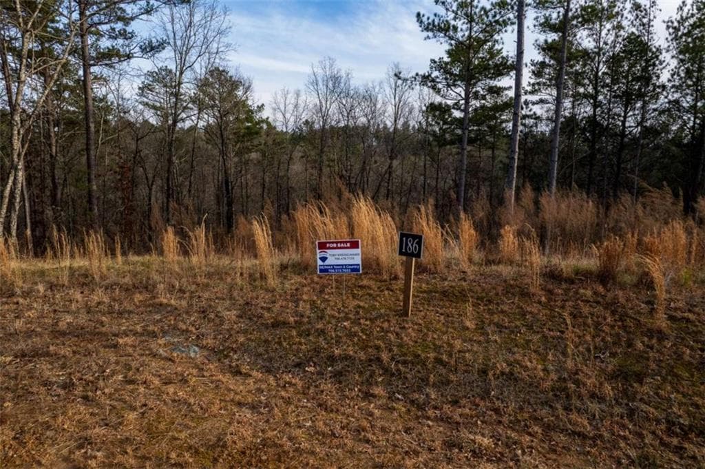 single family residence for sale at LT 186 Shelter Cove Trl, Talking Rock, GA 30175 — photo 7