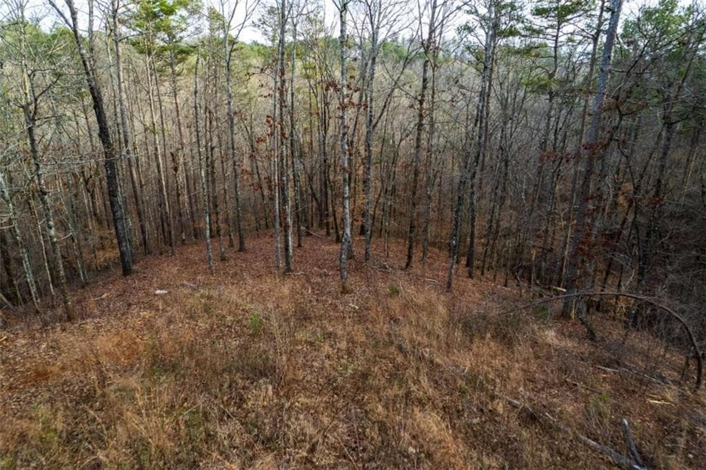single family residence for sale at LT 186 Shelter Cove Trl, Talking Rock, GA 30175 — photo 8
