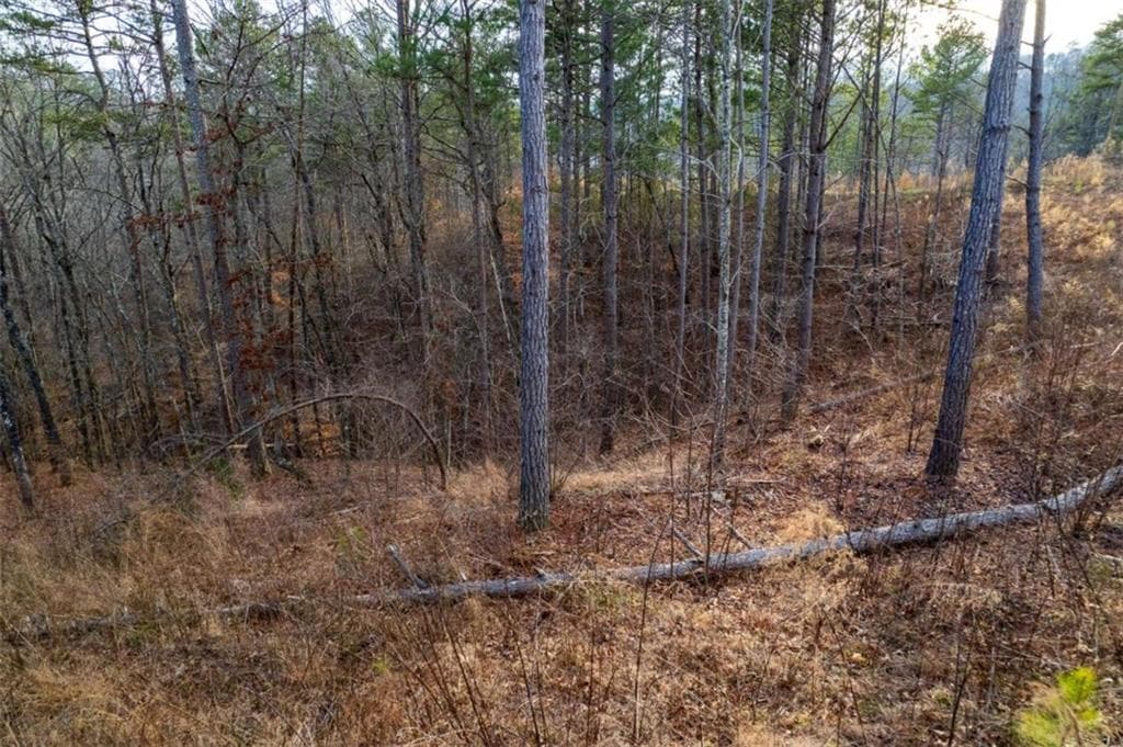 single family residence for sale at LT 186 Shelter Cove Trl, Talking Rock, GA 30175 — photo 9