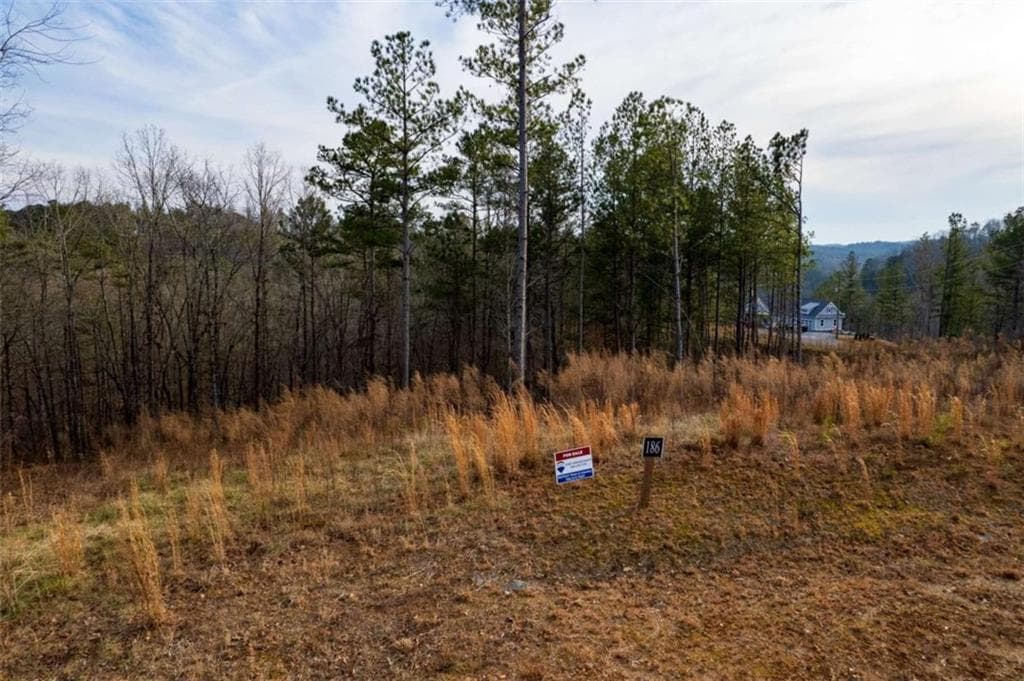 single family residence for sale at LT 186 Shelter Cove Trl, Talking Rock, GA 30175 — photo 10