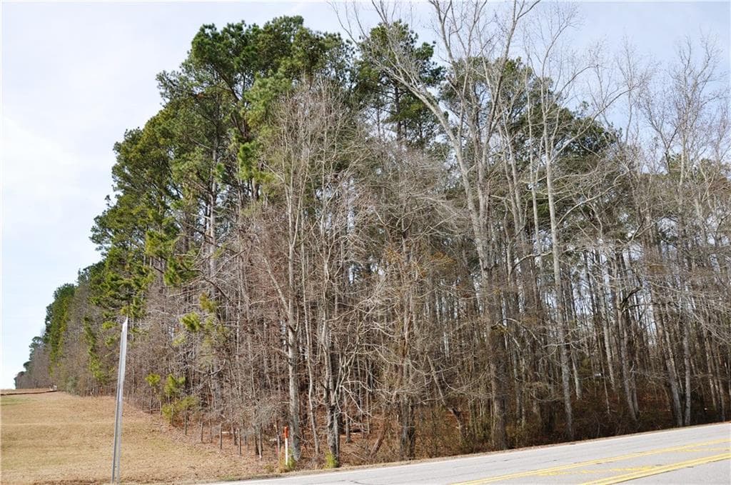 unimproved land for sale at 0 Monroe Highway, Bethlehem, GA 30620 — photo 4