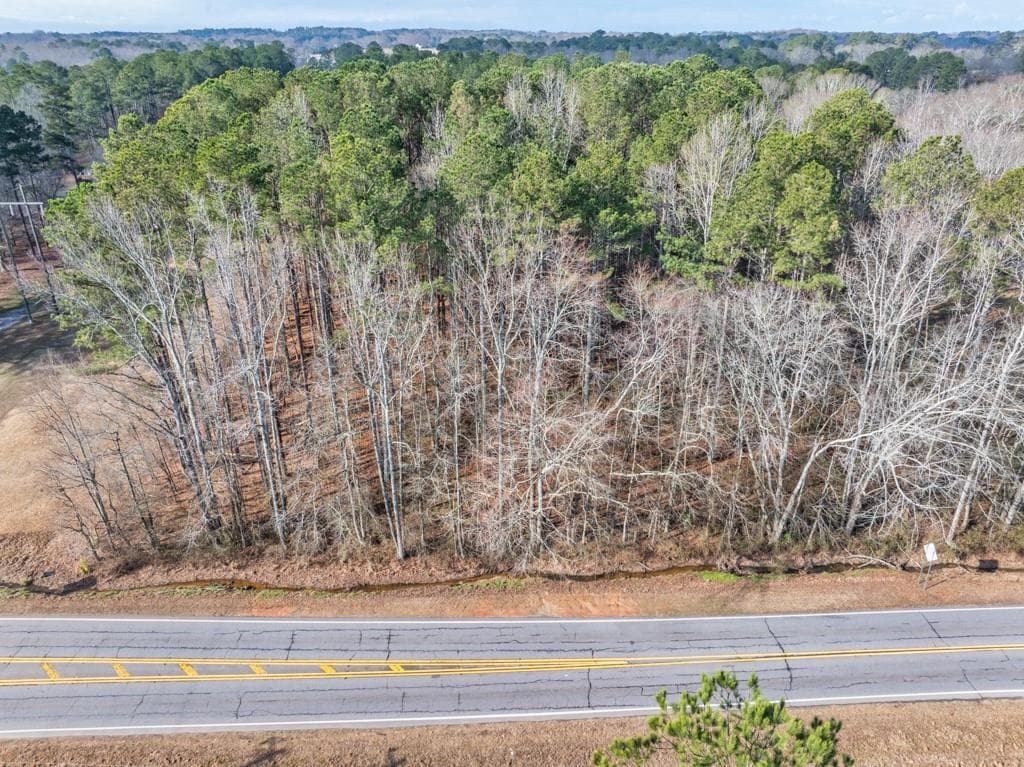 unimproved land for sale at 0 Monroe Highway, Bethlehem, GA 30620 — photo 5