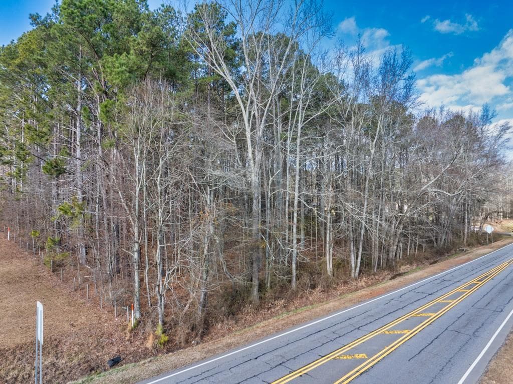 unimproved land for sale at 0 Monroe Highway, Bethlehem, GA 30620 — photo 6