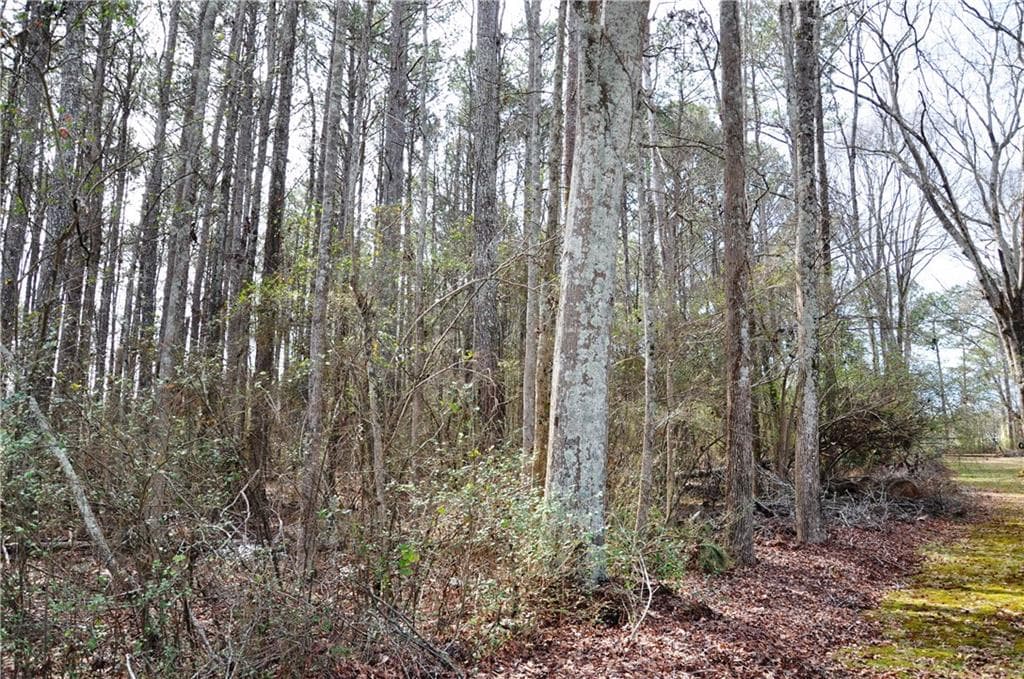 unimproved land for sale at 0 Monroe Highway, Bethlehem, GA 30620 — photo 10