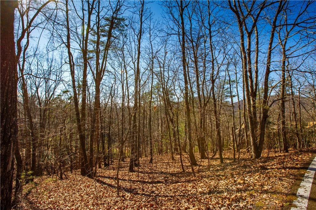 single family residence for sale at 2784 Summit Drive, Big Canoe, GA 30143 — photo 7