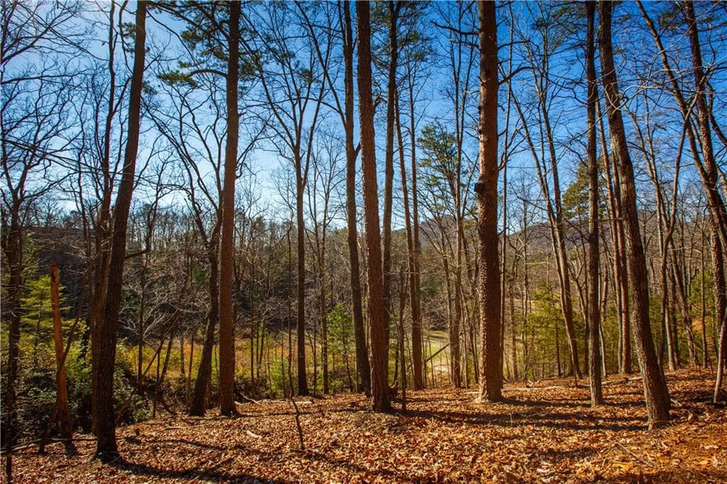 single family residence for sale at 2784 Summit Drive, Big Canoe, GA 30143 — photo 10