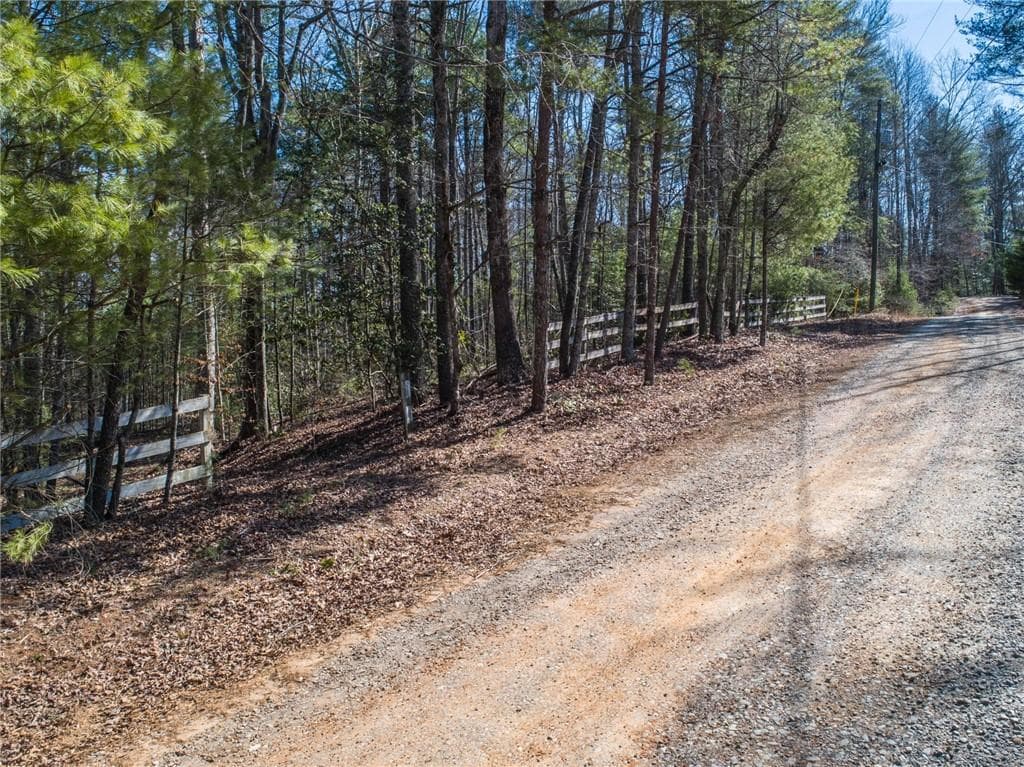 other for sale at 0 Bartox Drive, Ellijay, GA 30540 — photo 5