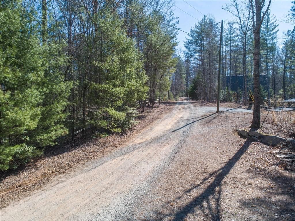 other for sale at 0 Bartox Drive, Ellijay, GA 30540 — photo 7