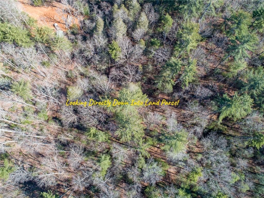other for sale at 0 Bartox Drive, Ellijay, GA 30540 — photo 8