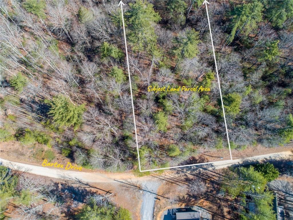 other for sale at 0 Bartox Drive, Ellijay, GA 30540 — photo 9